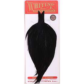 Whiting Bronze Tuppnacke Dyed Black