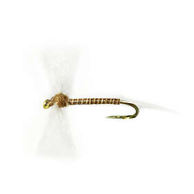 High Quality Flies Quill Spent Natural 12