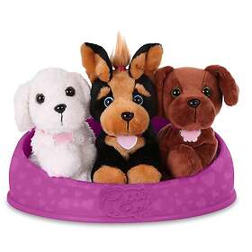 Fuchsia Pucci Pups Adopt-A-Pup, basket (708385)