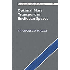 Optimal Mass Transport on Euclidean Spaces