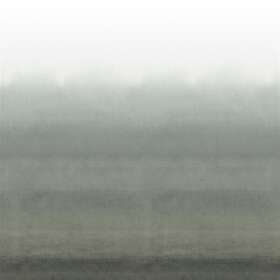 Designers Guild Shoshi Graphite PDG1163-04