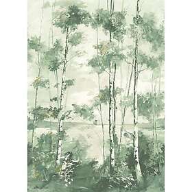 Casadeco Riverside 4 Foret Boreale Vert Eucalyptus M RIVI89567803