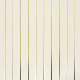 Erica Wakerly Pinstripe004