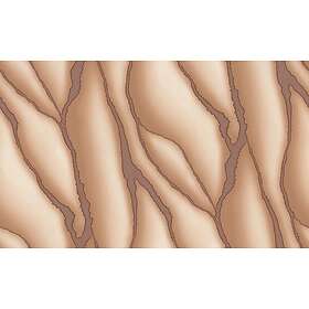 Erismann ELLE 3 10345-02