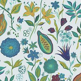 Wear the Walls Kakao Acai KAAB807652