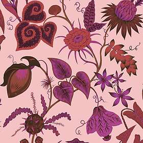 Wear the Walls Vida Rhodonite VIRP807670
