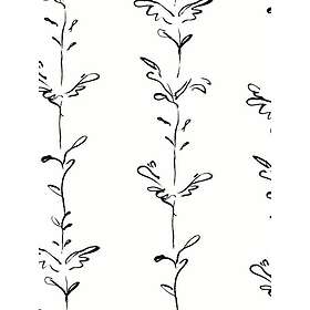 Polly Dunbar Stem Stem001