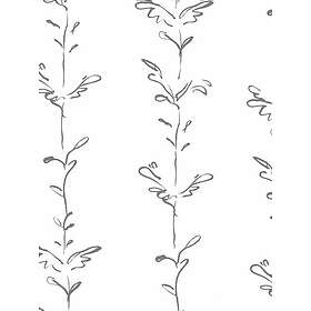 Polly Dunbar Stem Stem002