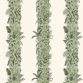 Wear the Walls Monte Verde Serpentine MVSG807670