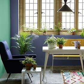 Little Greene Pale Lupin 278