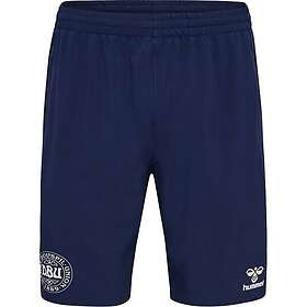 Hummel Danmark Shorts Travel Woven (Herr)