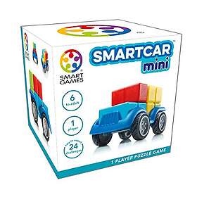 MINI SmartCar