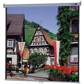 DA-LITE Model B Square 1:1 Matte White 134" (244x244)