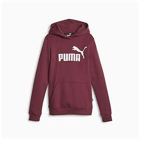 Puma Ess Logo Hoodie Fl G (Jr)