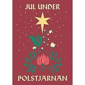 Lotta Olsson, Klas Östergren, Sara Kadefors, Jenny Strömstedt, Niklas Turner Olovzon: Jul under polstjärnan