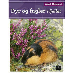 Dyr og fugler i fjellet