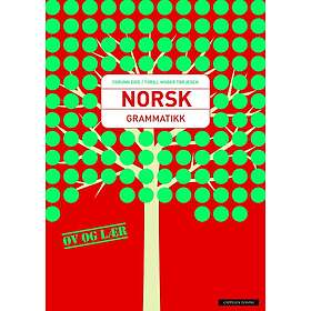 Norsk grammatikk