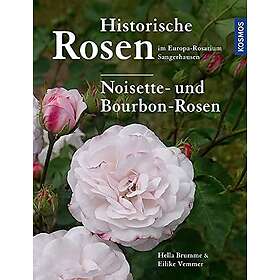 Historische Rosen im Europa Rosarium Sangerhausen: Noisette- und Bourbon-Rosen