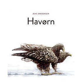 Havørn