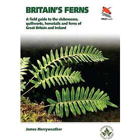 Britain's Ferns
