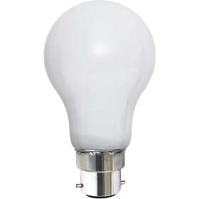 Star Trading LED-lampa B22 A60 Opal Filament RA90 LEDlampaB22A60Opaque filament 375-42-2