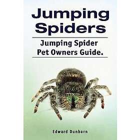 Jumping Spiders. Jumping Spider Pet Owners Guide.