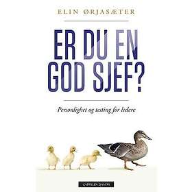 Er du en god sjef?