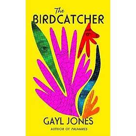 Birdcatcher
