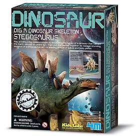 Kalikå Kidz Labs Stegosaurus Skeleton