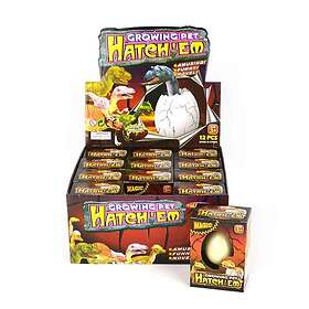 Robetoy Växande Ägg Dinosaurie Liten