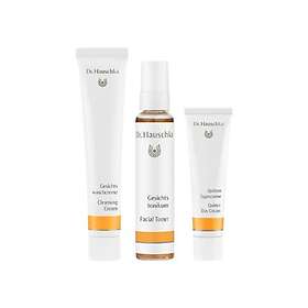 Dr. Hauschka Normal Skin Prova På Set för Normal Hy