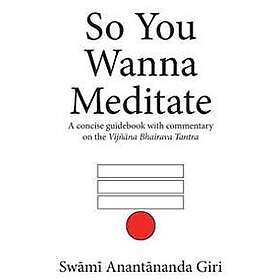 So You Wanna Meditate: A Concise Guidebook with Commentary on the Vijnana Bhaira