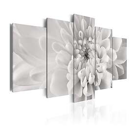 Arkiio Tavla Dahlia Flower In Grey Shades A3-N1373A