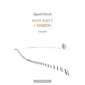 Kvit katt i snøen haikudikt