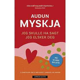 Jeg skulle ha sagt jeg elsker deg 12 samtaler om kjærlighet, lengsel og anger ve