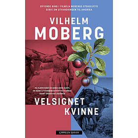 Velsignet kvinne siste brevet hjem 1