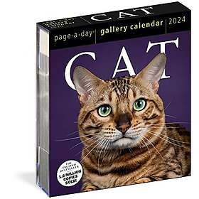 Cat Page-A-Day Gallery Calendar 2024