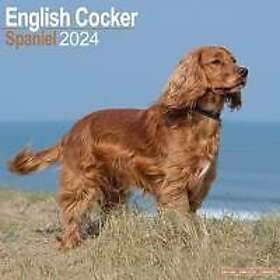 English Cocker Spaniel Calendar 2024 Square Dog Breed Wall Calendar 16 Month