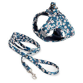 Basic Cat Blossom Sele Koppel Blå (S)