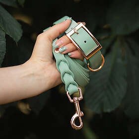 Classy Tyylivoitto Hundhalsband Stor modell Ljusgrön (M)