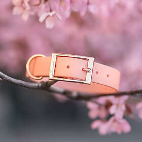 Classy Tyylivoitto Hundhalsband Stor Modell Persika (L)