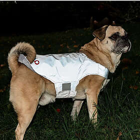 Icepeak Brightly Reflexväst VetZoo