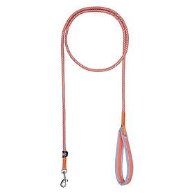 Icepeak Brightly Hundkoppel (Oransje)