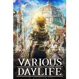 VARIOUS DAYLIFE (PC)