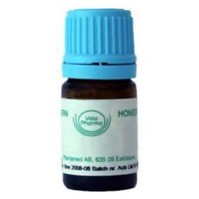 Allergica LEDUM LM VI