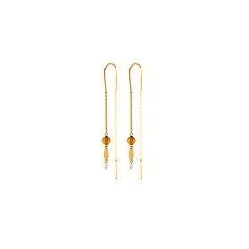 Pernille Corydon Amber Glow Earrings Förgyllt Silver Örhängen Med Bärnsten E-359-GP