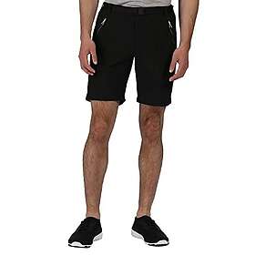 Regatta Xert Stretch III Shorts (Men's)