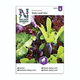 Nelson Garden Frö Sallat Baby Leaf Mix 85971