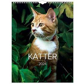 Väggkalender 2024 Stora Kattkalendern Burde