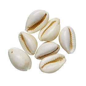 VITA Snäckor hela 30 st.